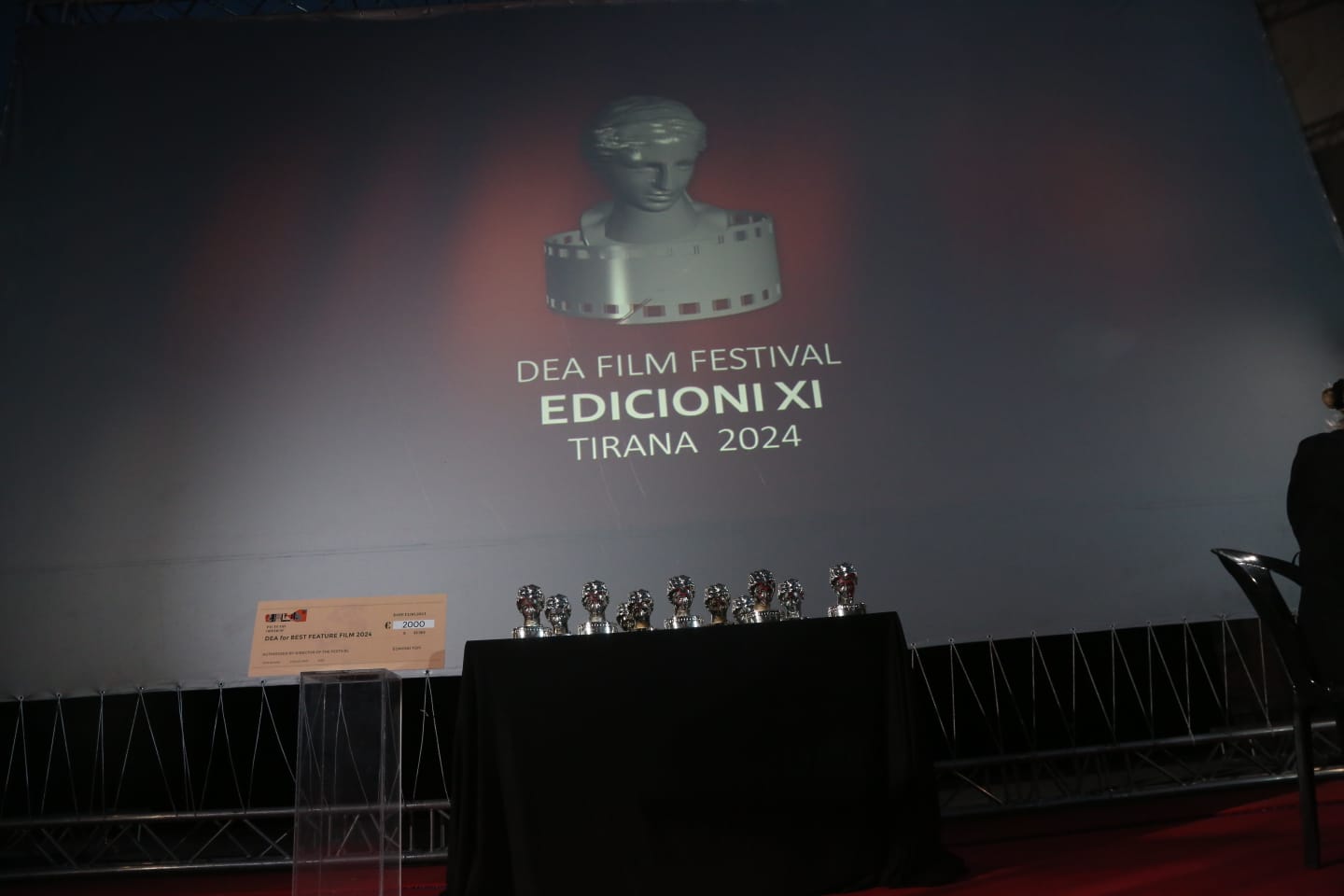 Edicioni i 11-të i Festivalit Ndërkombëtar të Filmit DEA OPEN AIR/ Të pranishëm në ceremoninë e ndarjes së çmimeve ishin kineastë, aktorë e regjisorë nga bota