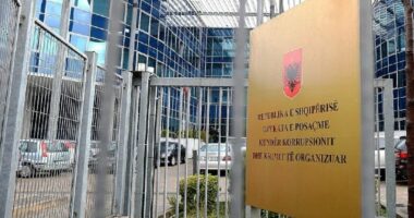 Trafik droge nga Finlanda/ GJKKO lë në burg 9 anëtarët e grupit kriminal