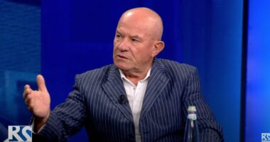 “Non grata e Berishës nuk po hiqet, por po fuqizohet”, Meçe: E vetmja gjë që i ka mbetur PD është të menaxhojë vulën