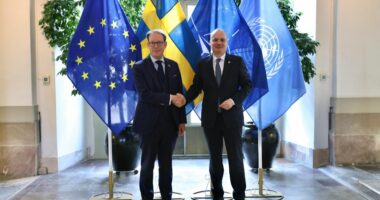 “Vendi i Ballkanit Perëndimor është në BE”, Ministri Hasani pritet nga homologu suedez në Stokholm