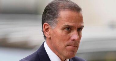 Shpallet fajtor djali i presidentit Biden, gënjeu në formularin e deklarimit. Bleu armë pavarësisht varësisë nga droga