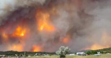 Zjarret katastrofike në New Mexico/ Dy të vdekur dhe 500 shtëpi të djegura