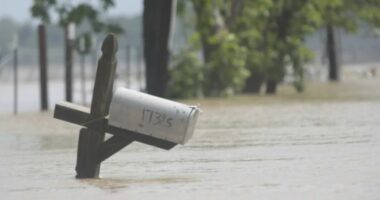Përmbytje dhe rrëshqitje dheu në Bregun e Fildishtë, 24 të vdekur
