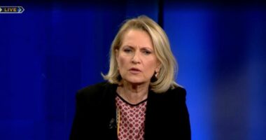 Pakti Rama-Meloni për “Gjadrin”/ Kodheli: Ideja për ta shfrytëzuar në këtë mënyrë është gjetje e mirë