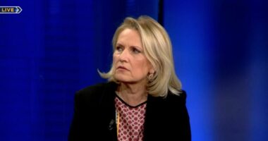 “S’mund të jemi pjesë në disa misione të BE dhe në të tjera jo”/ Kodheli: Italia, fqinji më i mirë që kemi pasur!