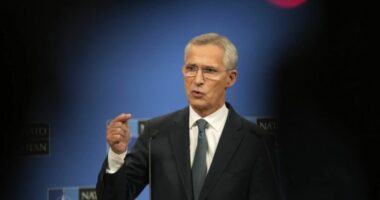 Stoltenberg: Anëtarët e NATO-s duhet të përmbushin detyrimet ndaj Aleancës