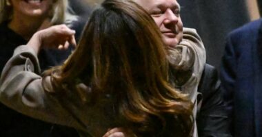 Assange mbërrin në shtëpi, përqafimi i ngrohtë me bashkëshorten