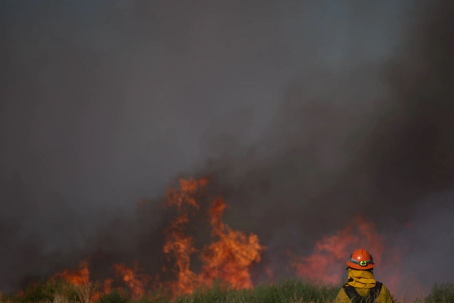 Zjarre katastrofike në Kaliforni, digjen mbi 48 mijë hektarë