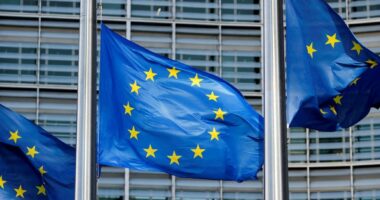 Sfidat kryesore për ekonominë e BE-së pas zgjedhjeve europiane