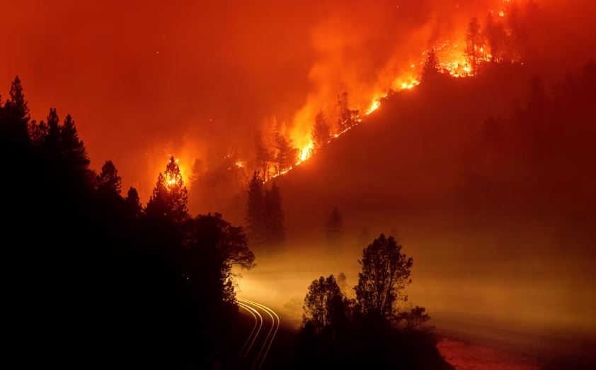 Studimi: Rreth 50 mijë njerëz kanë vdekur në një dekadë në Kaliforni, shkak grimcat toksike