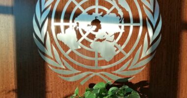 OKB paralajmëron për rritjen e numrit të të vdekurve nga mbidoza