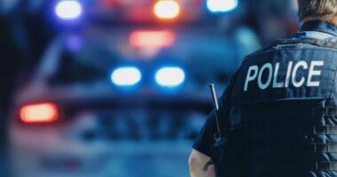 Skandali me bastet politike, arrestohet truproja i kryeministrit britanik