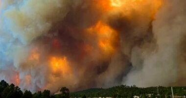 Zjarret katastrofike në New Mexico, evakuohen 7 mijë persona