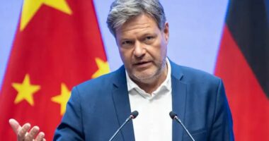 Habeck: Europa të përballet me konkurrencën nga Kina