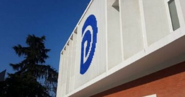 Rekursi për vulën e PD/ Gjykata e Lartë rrëzon ankimin e Bashës për pezullim të vendimit të Apelit