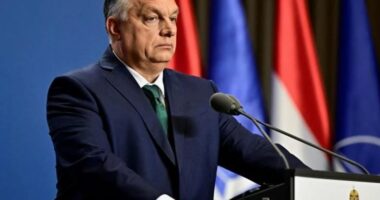 Orban “kopjon” Trump, publikon sloganin për presidencën e BE-së: Ta bëjmë Europën të madhe përsëri