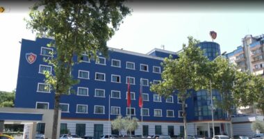 Mashtrim me bursat amerikane/ Vihet në pranga i riu nga Devolli, Ermes Hoxhalli