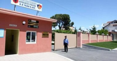 Përfshihet nga flakët makina në Lushnje