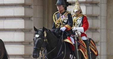 Princesha Anne shtrohet në spital me urgjencë, pas lëndimit në kokë