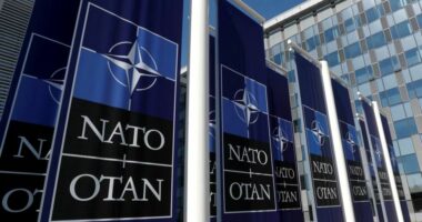 Kërcënimi nga Rusia, NATO: Mbi 300 mijë trupa janë në gatishmëri të lartë