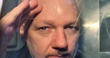 Themeluesi i WikiLeaks, lirohet pasi pranoi fajësinë mbi akuzat për spiunazh