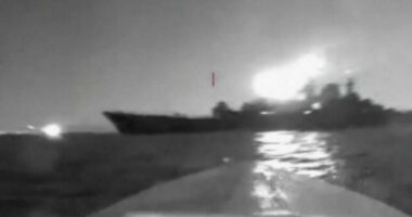 Ukraina pretendon se ka shkatërruar një të tretën e flotës ruse të Detit të Zi