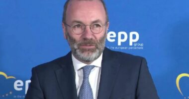 Manfred Weber rizgjidhet president i Partisë Popullore Europiane