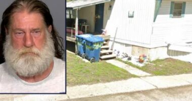 E rëndë/ Nuk lau enët, babai vret me thikë në zemër të birin