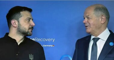 Scholz dhe Zelensky hapën konferencën mbi rindërtimin: Putin t’i japë fund fushatës së tij brutale!