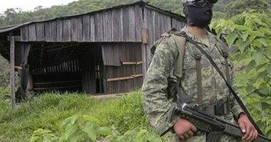 Karteli i Sinaloas, një histori dhune e vrasjesh që zgjat prej dekadash