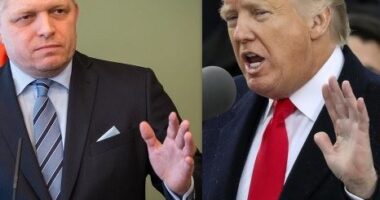 Politika përçarëse nuk ka sjellë asgjë pozitive për Sllovakinë apo SHBA-në