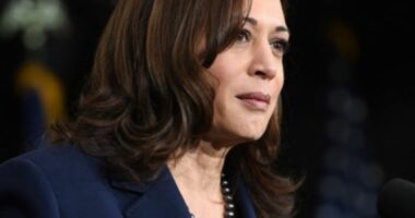 Zgjedhjet presidenciale/ Kamala Harris do të mbajë tubimin e saj të parë në Wisconsin