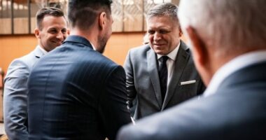 Kryeministri sllovak rikthehet në punë pas atentatit