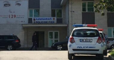 Në kërkim për vjedhje dhe dhunë në familje, arrestohen dy persona në Fier