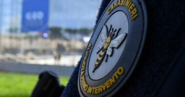 I trajtonin punëtorët indianë “në kushte skllavërie”, i sekuestrohen rreth gjysmë milioni euro pronarëve italianë