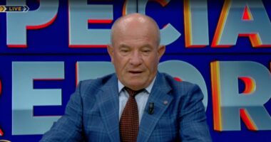 Kuvendi mbështet kauzën e PDIU/ Meçe: Politika ka zhdukur konceptin e ‘armikut’. Shqipëria, anëtare në NATO