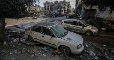 “Amnesty International” bëri thirrje për një armëpushim në Rripin e Gazës