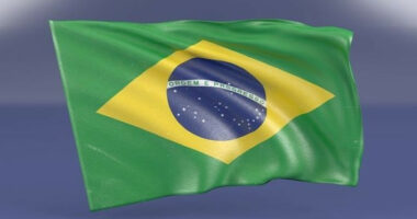 Brazili pret që më shumë se 100 vende të mbështesin aleancën kundër urisë