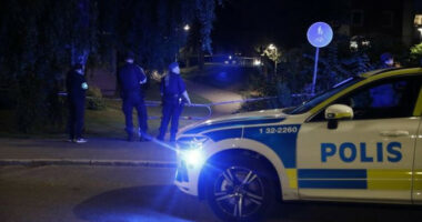 Gjenden dy trupa në një makinë të djegur në Suedi