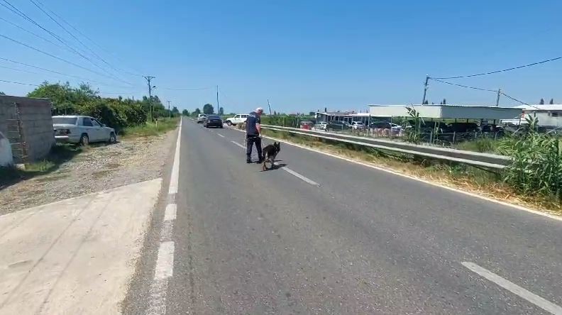 EMRAT/ Qëlloi me armë drejt një lokali dhe u largua mes parcelave me misër, policia nis punën për kapjen e 33-vjeçarit në Kurbin