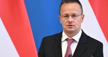 Hungaria e anulon takimin me ministrin e Jashtëm gjerman për arsye “teknike”