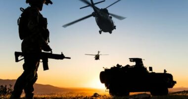 Dobësia më e madhe e Perëndimit është e brendshme