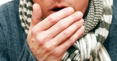 I kolliti qëllimisht punonjëses në fytyrë, gjykata gjobit pronarin me 30 mijë euro