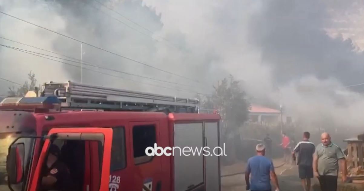 VIDEO/ Situatë alarmante në Shëngjin, zjarri rrethon shtëpitë, panik mes banorëve