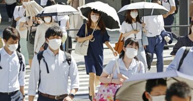 Temperaturat e larta/ “Sekreti” i japonezëve  për t’u freskuar