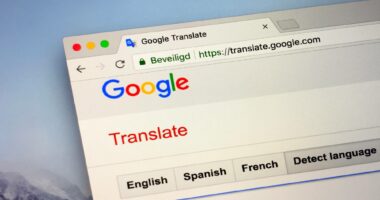 Më shumë se 100 gjuhë të rrezikuara shtohen në Google Translate