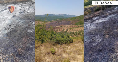 Zbardhen dy raste zjarrvënieje në Elbasan, një i arrestuar