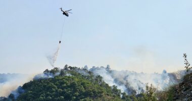 Situata me zjarret, aktive katër vatra në të gjithë territorin, ndërhyhet edhe me helikopter për të shuar flakët
