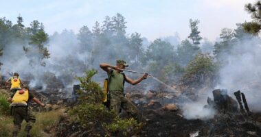 VIDEO/ Efektivët e Forcave të Armatosura, prej disa ditësh në betejë me zjarret