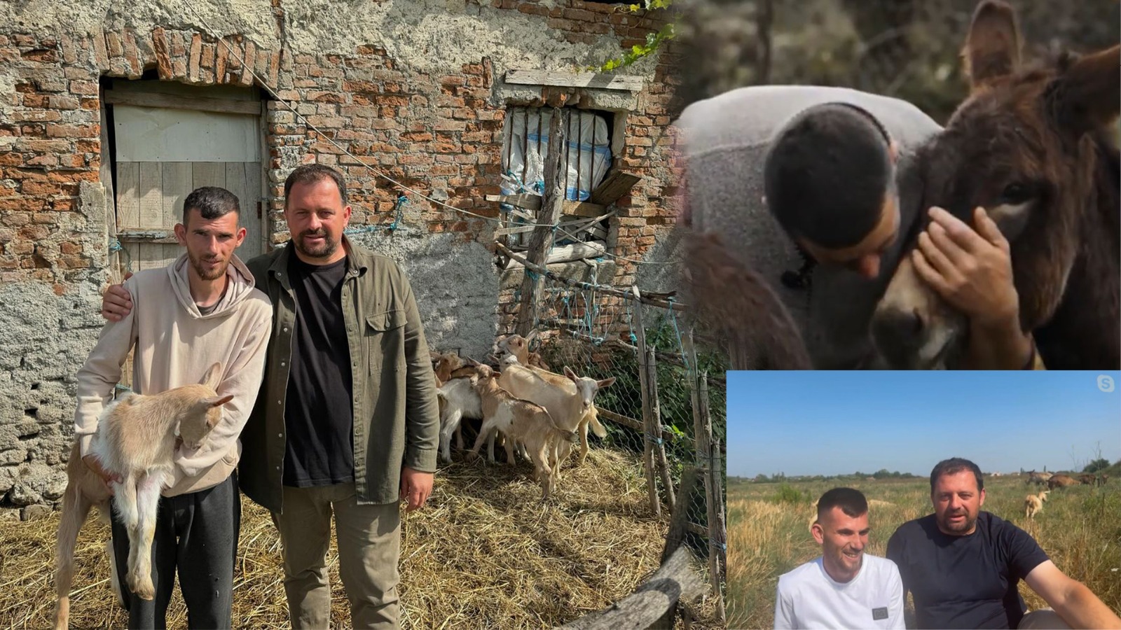 I realizon ëndrrën për një fermë 21-vjeçarit/ Altin Prenga: Falënderoj kontribuuesit që dhuruan 14 mijë euro